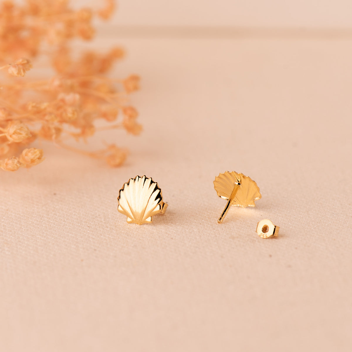 Pendientes Concha Brillo 8 x 8 mm. de oro amarillo 9K
