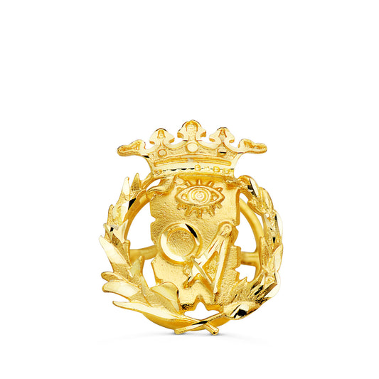 18K INSIGNIA ORO AMARILLO CIENCIAS EXACTAS ( MATEMATICAS ) 17 X 14 MM