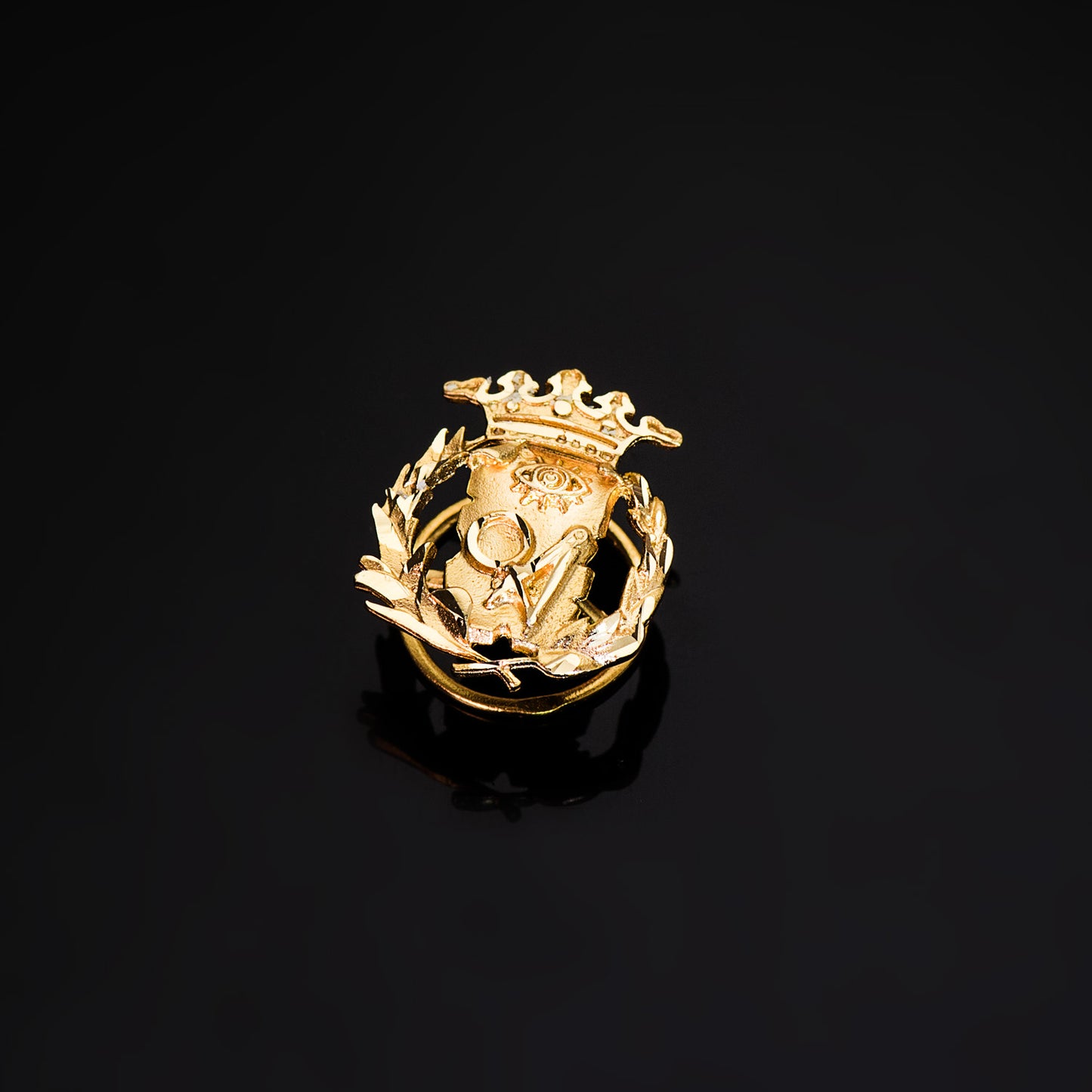 18K INSIGNIA ORO AMARILLO CIENCIAS EXACTAS ( MATEMATICAS ) 17 X 14 MM