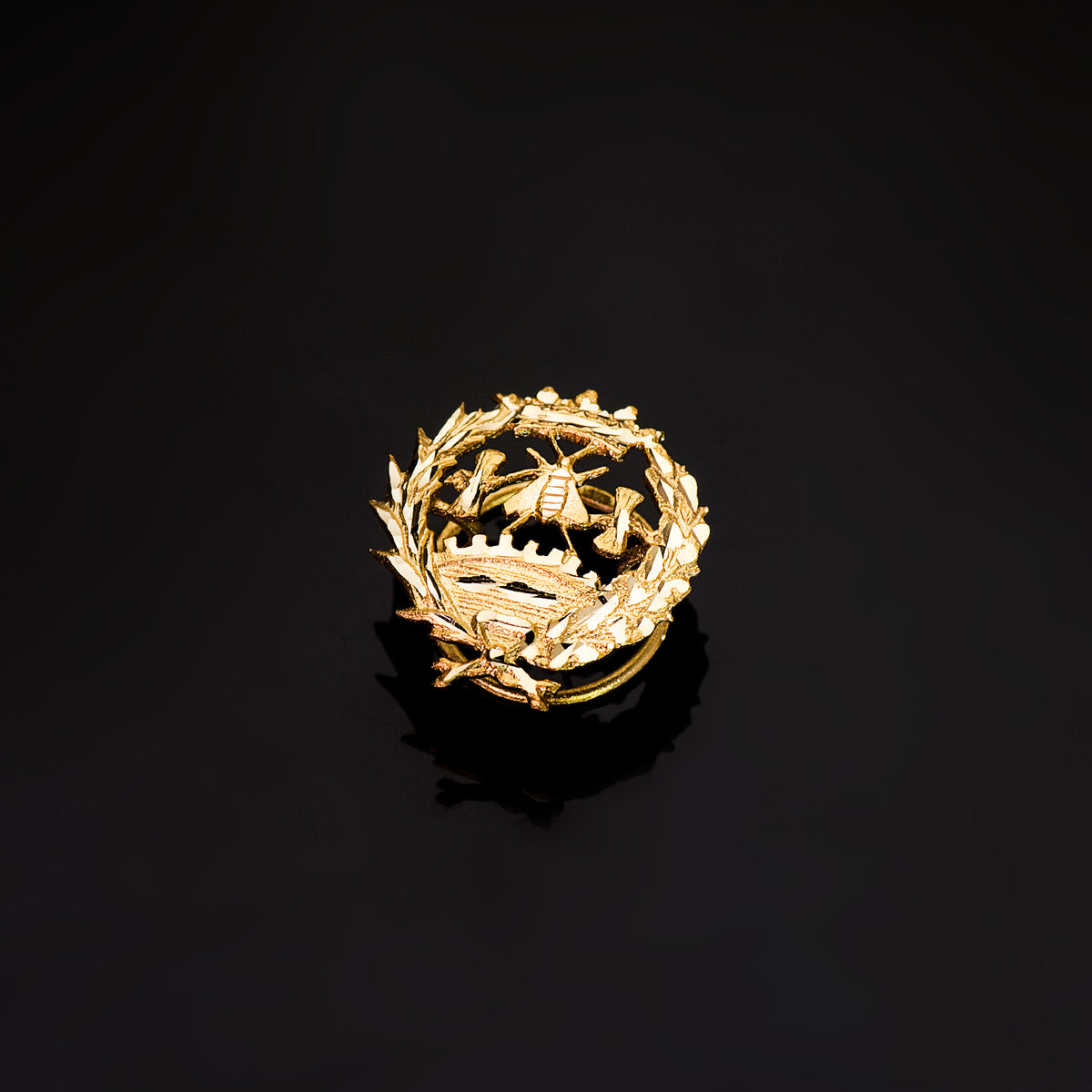 Insignia Ciencias Economicas 18 x 17 mm de oro amarillo 18K