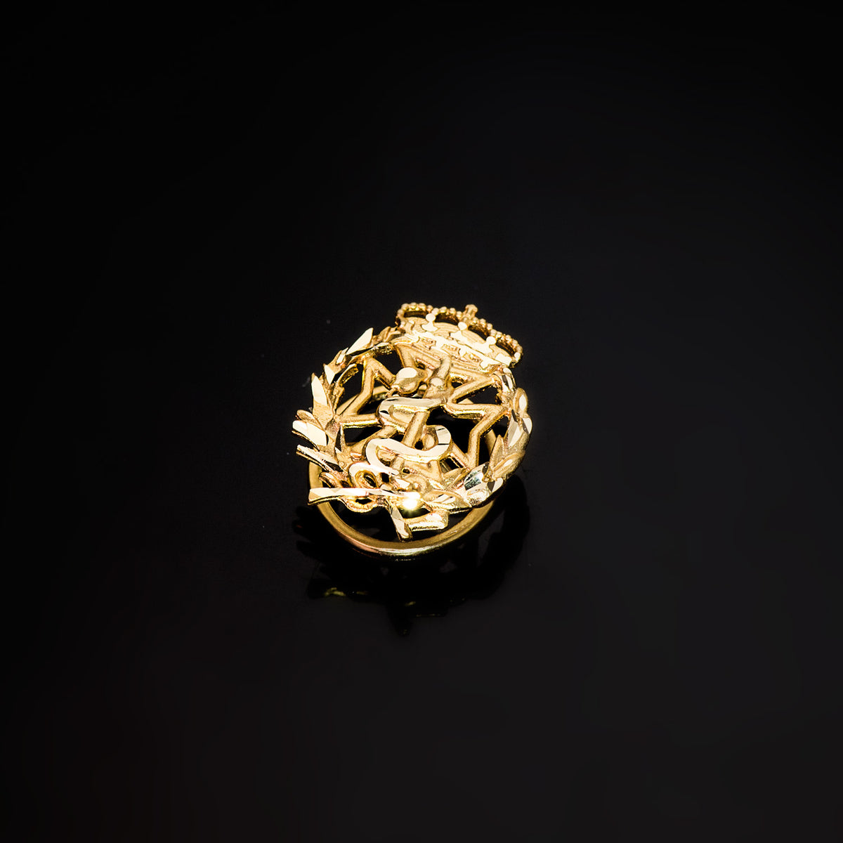 Insignia Odontologia 17 x 14 mm de oro amarillo 18K