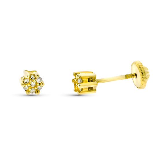 Pendientes Cuajo Diamantes 0,07 Cts Si-h Tuerca de oro amarillo 9K