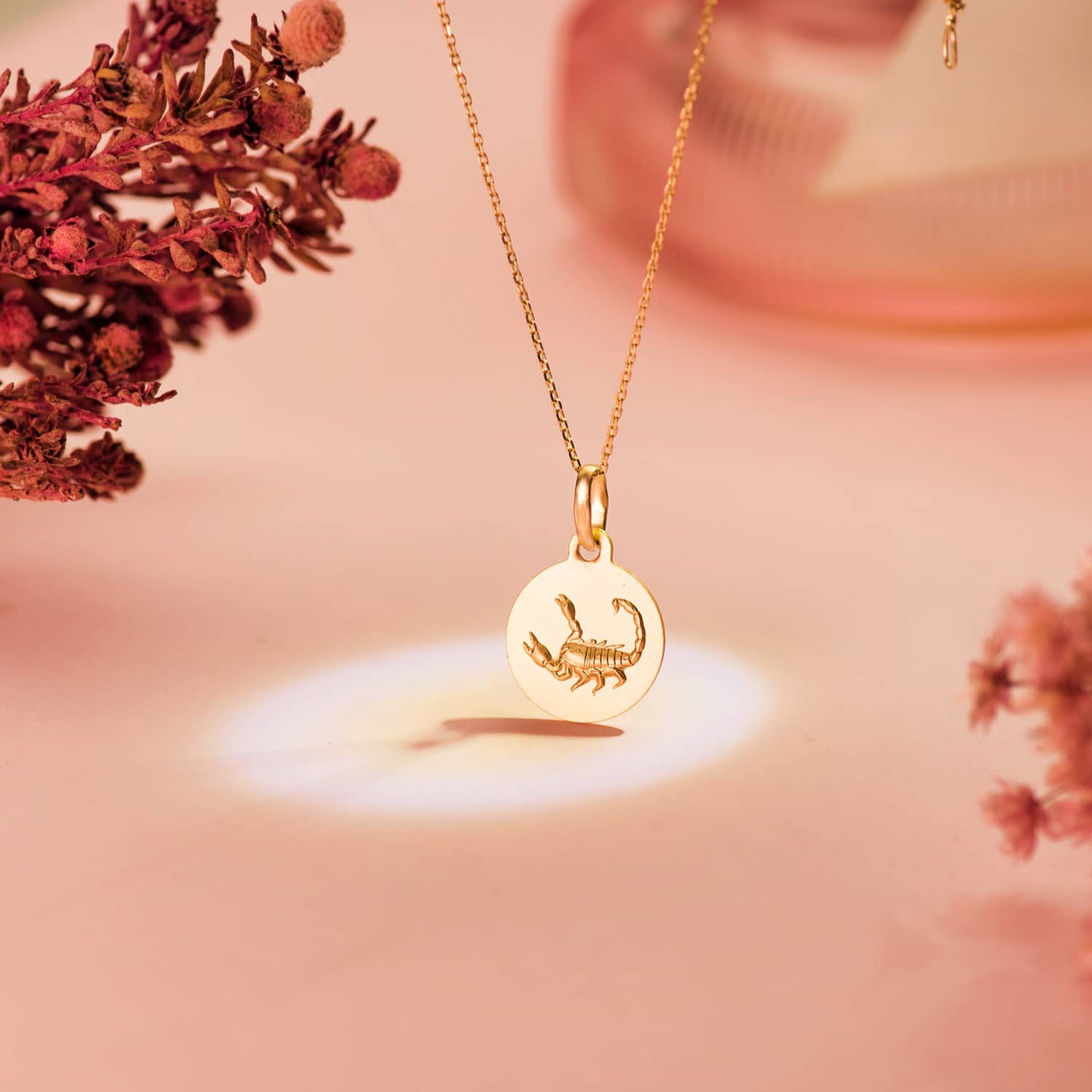 Medalla Horoscopo Escorpio Matizada 13 mm de oro amarillo 18K