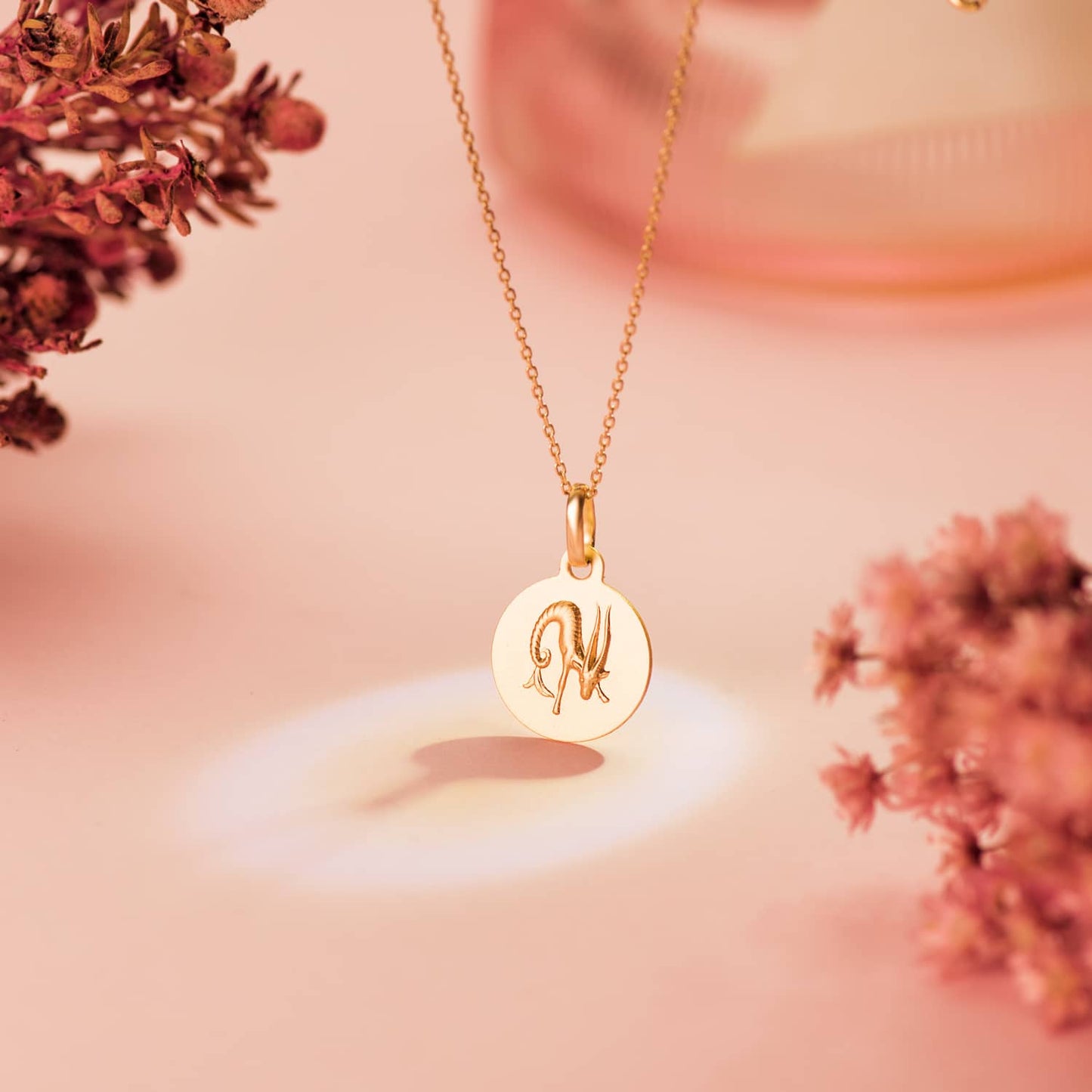 Medalla Horoscopo Capricornio Matizada 13 mm de oro amarillo 18K